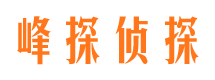 澧县婚外情调查取证